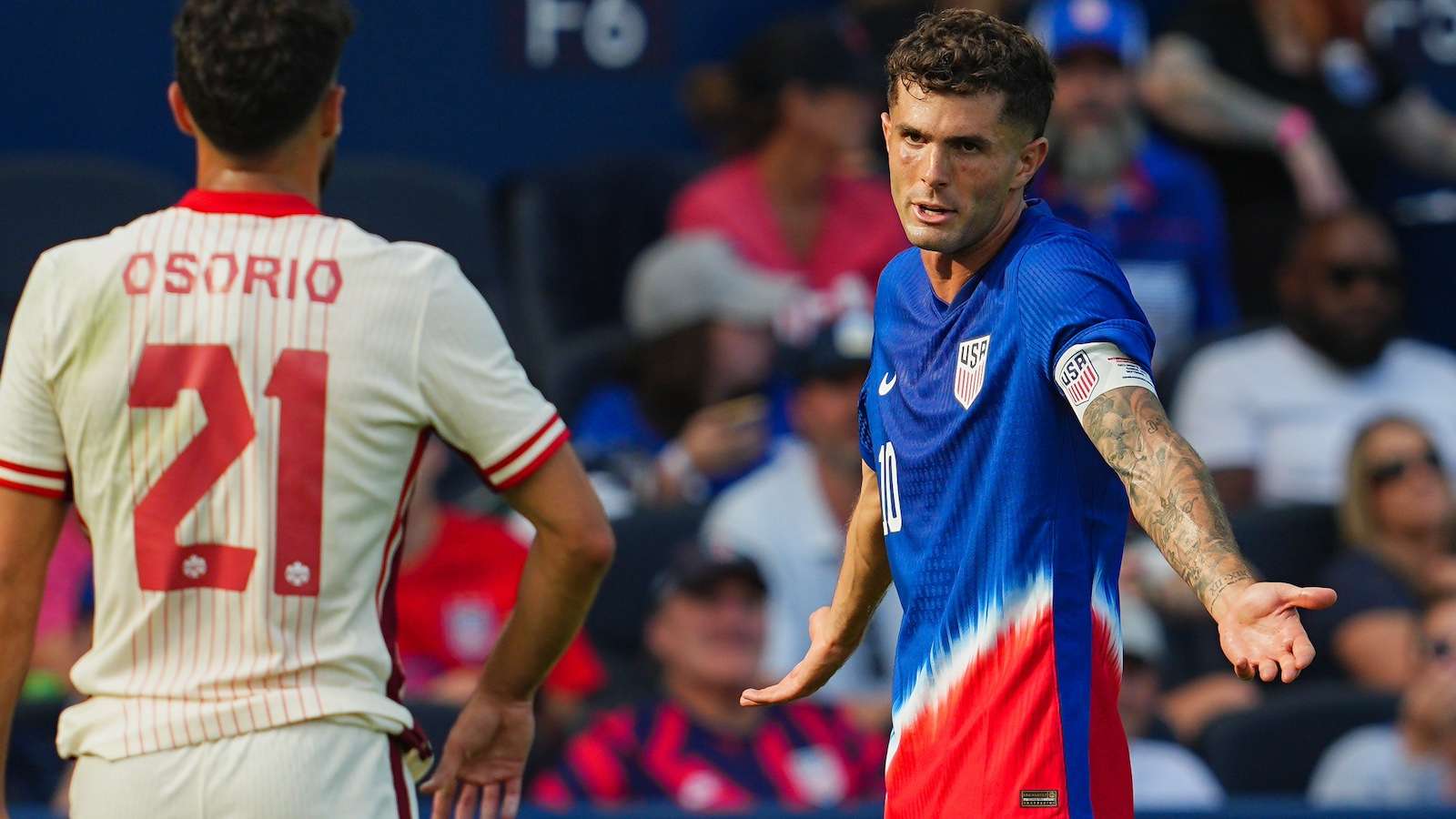 调动市场积 调动市场积