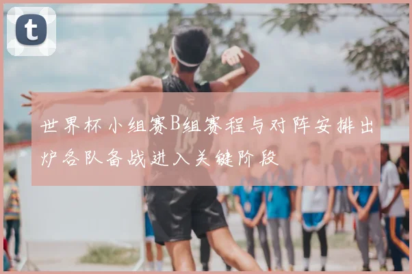 世界杯小组赛B组赛程与对阵安排出炉各队备战进入关键阶段