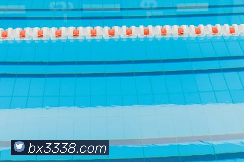 奖项证书
